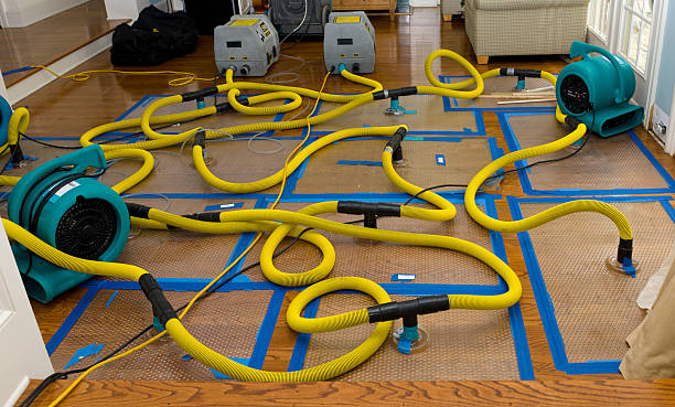 Professional Water Damage Restoration technician working in Winchester, MA